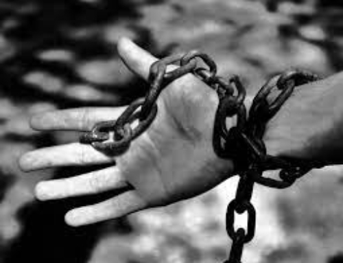 Resistere con resilienza 