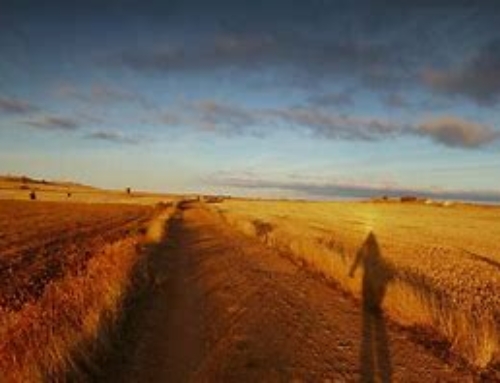 In cammino, verso il viaggio della vita