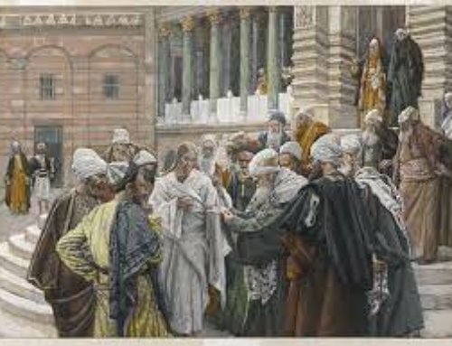 In Cristo rileggiamo la storia con i suoi eventi e scorgiamo come tutto è in relazione al Padre.