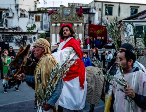 Domenica delle Palme